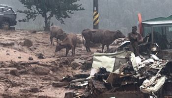 [속보]경남 산청 산사태에 국가소방총동원령 발령