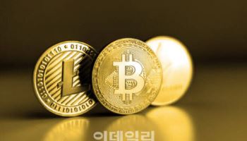 비트코인 ‘불장’? 세금 밀리면 압류…작년 381억 징수[세금GO]