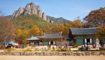 청송·산청·보은, 3대 산림여행지로 꼽혀…캠핑은 연천이 1위