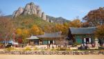 청송·산청·보은, 3대 산림여행지로 꼽혀…캠핑은 연천이 1위