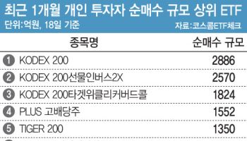 “지금은 미장보다 국장”…ETF도 동학개미 우르르