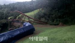 폭우로 부러진 나무에 궁능·사찰 훼손…국가유산 피해 총 14건
