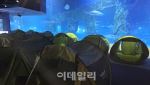 "박물관이 살아있다 현실판?"…폭염 피해 ‘하룻밤 야간캠프’ 인기