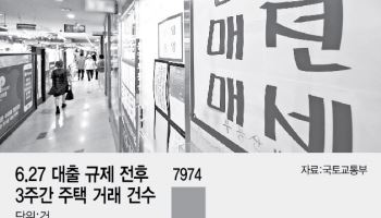 아파트값만 뚝뚝…오피스텔 풍선효과 없었다