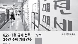 아파트값만 뚝뚝…오피스텔 풍선효과 없었다