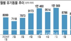 가족이라던 '멍냥이'..매일 293마리 버림받는다