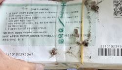 나무 대신 '지역화폐'로 땔감…경찰, 금융기관 직원 조사