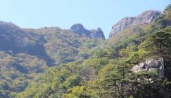 계룡산서 사진 찍다 10m 추락…결국 ‘하반신 마비'