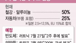 車 이어 반도체 품목관세…韓 수출 주력군 직격탄