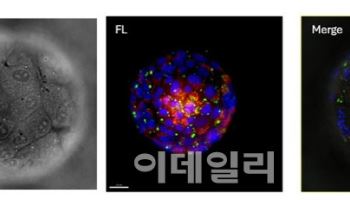 토모큐브, ‘Microscopy Today Innovation Award 2025’ 수상