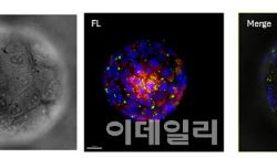 토모큐브, ‘Microscopy Today Innovation Award 2025’ 수상