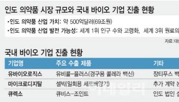 “제3국으로”…틈새시장서 노다지캐는 K바이오①인도