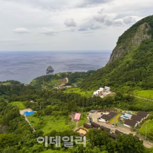 머무는 시간이 여행이 된다…울릉도 핫플 숙소 ‘스테이너와’ [여행]