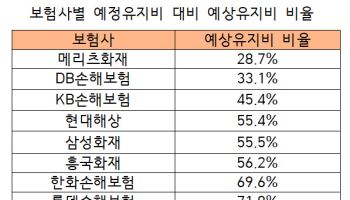 보험업계, 이번엔 예정·예상유지비 산출 두고 ‘갑론을박’