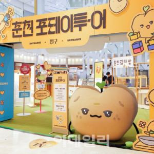 춘천 감자, 부산서 통했다…'포테이투-어' 팝업스토어 성황