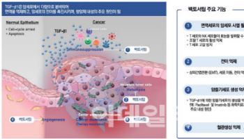 메드팩토 ‘백토서팁’ 골육종 단독 임상 주목…재조명 가능성