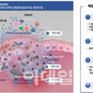 메드팩토 ‘백토서팁’ 골육종 단독 임상 주목…재조명 가능성