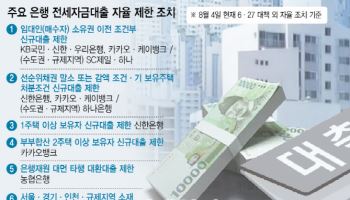 은행권, 전세·신용대출 줄줄이 중단 '초강수'