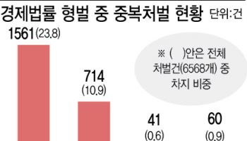 중복형벌 2300여건…'교도소 담장 위 걷는' 기업인들