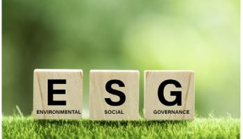 ESG 공시 기업수 큰 폭 둔화…위원회도 형식적