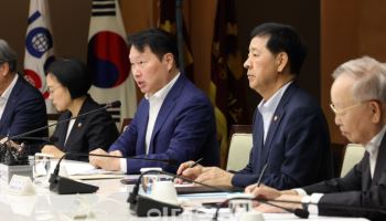 '최태원·구윤철' 민관 회동…"기업활동 보장 제도 필요"(종합)