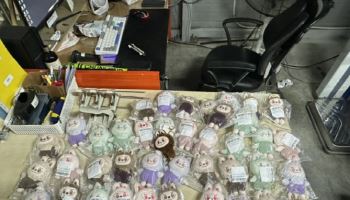 라부부 50% 할인에 좋아했는데…'날벼락' 맞았다