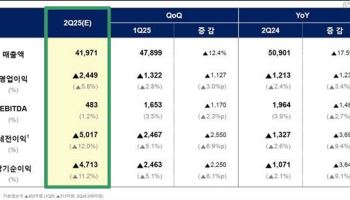 롯데케미칼, 2분기 영업손실 2449억…7분기 연속 적자