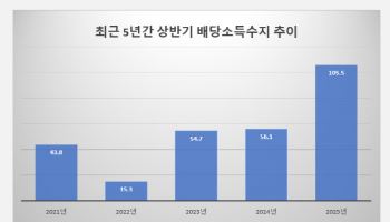 상반기 배당소득 흑자 ‘역대 최대’…美증시 조정에도 투자 ‘러시’