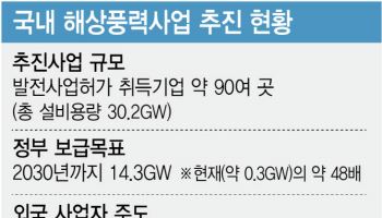 공공 해상풍력 사업도 확대 필요…"바다 위 LH 나와야"