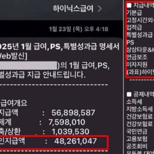 하이닉스 한달 급여, 연봉만큼 나온 이유