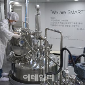 Bio FD&C, Curocell, ST Pharm Surge on Commercialization Gains[K-Bio Pulse]