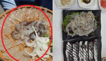 “2마리에 5만 6000원”…속초 오징어 난전, 이번엔 바가지 요금?