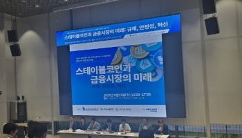 "스테이블코인은 카지노칩…미국과 한국은 상황 달라"