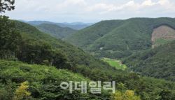 산주와 지역 공동체가 함께 푸른 황금숲을 일구다