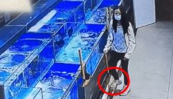 활어 꺼내더니 발로 '꾹꾹' 밟고 "싸게 주세요"