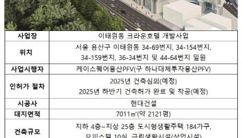 이태원 크라운호텔 개발 '궤도 수정'…서울시 디자인사업 안 한다