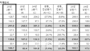 한국씨티銀, 상반기 당기순익 1831억…전년比 4.5%↑