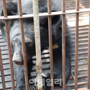 컷뉴스