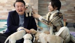 尹·김건희 '동시구속'…남겨진 개·고양이만 11마리, 누가 돌보나