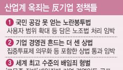 反기업법 융단폭격…관세전쟁보다 무섭다
