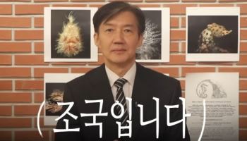 "'라방'도 할건데 '노잼'이라"…조국, 출소 후 유튜브 재개