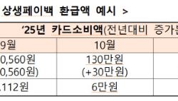 "최대 30만원 환급" 카드 더 쓰면 돌려받는 '상생페이백' 시행