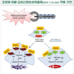 압타바이오, 급성신손상 예방약 내년 기술이전 자신