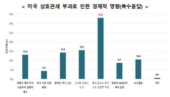 중견기업 3곳 중 1곳 “美 관세 부과로 수출경쟁력 하락”