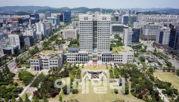 경력 쌓고 정규직 전환까지…청년인턴 지원사업 효과 ‘톡톡’