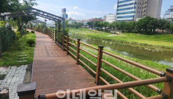 목재로 만든 자전거길·보행데크, 잦은 파손에 혈세낭비 우려