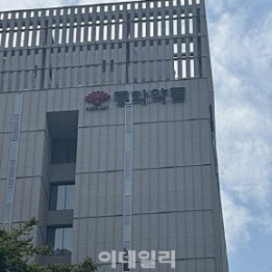 재고자산 문제 조기발견, ‘하이로닉 리스크’ 피한 동화약품의 '신의 한수'