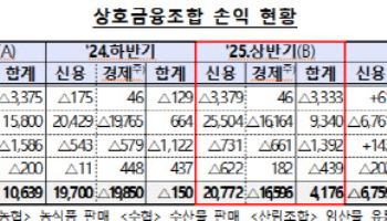 상호금융, 순이익 60% 넘게 감소…저축은행권 상반기 흑자 전환