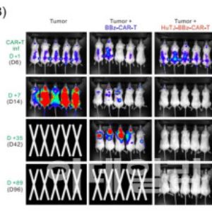 TiCARos CLIP CAR Platform Publishes Paper in Nature Communications