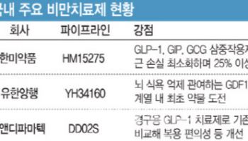 일라이릴리, 먹는 비만약 3상 성공...K-비만약 여파는